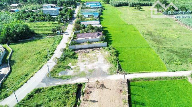Bán lô đất vườn - Đối diện trường học Láng Dài - Đất Đỏ .BRVT - 4