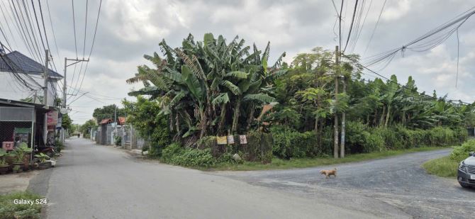 Bán đất phường Hiệp Hòa, gần cầu Hiệp hòa - Thống Nhất đang xây - 4