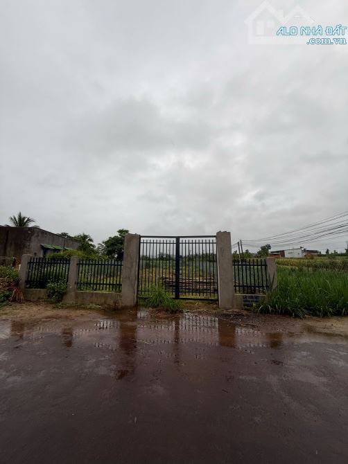 bán đất thôn 6 - hoà khanh nay là xã Hoà Phú - 4