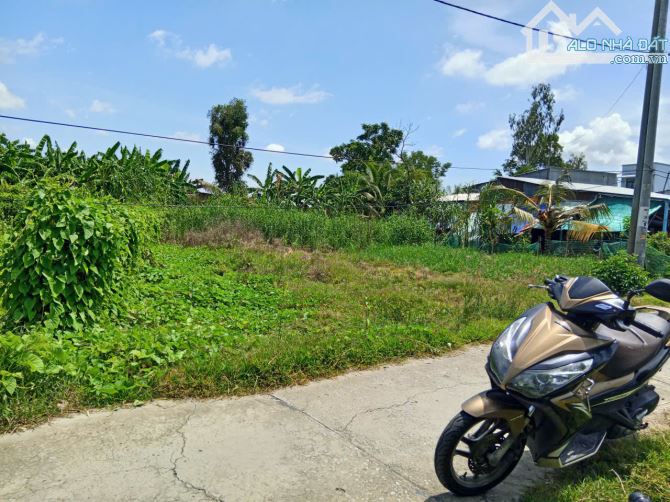 ✅️Bán 577m2 đất thổ cư xã Phú Hòa An Giang ô tô tới đất giá 3.5tr/m2 - 4