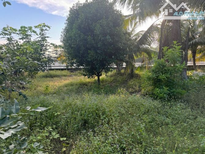 Cho thuê 3.000m² đất mặt tiền đường Quốc Lộ 54 và mặt sau giáp sông Trà Ôn - 4