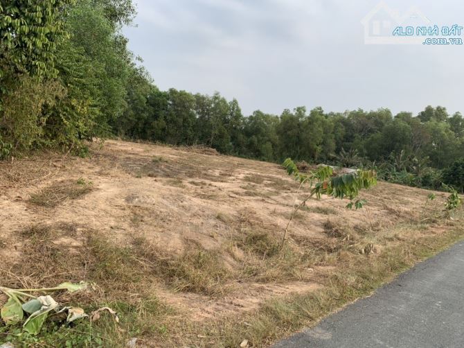 Bán 4,007.5m2 đất tại đường Tăng Thị Hội, An Nhơn Tây, Củ Chi, TP.HCM - 5