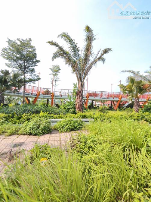 CỰC HIẾM, MẢNH ĐẤT ĐẸP KHU PHÂN LÔ NGỌC THUỴ, VĨA HÈ RỘNG, ÔTÔ TRÁNH ,KINH DOANH - 5