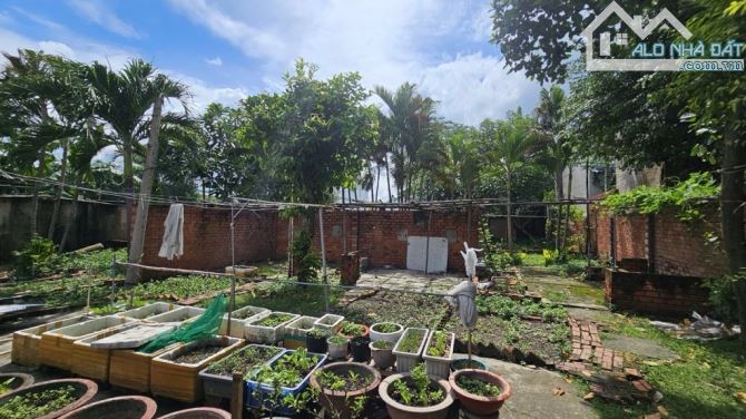 🚀 SIÊU HOT – ĐẤT MẶT TIỀN PHAN VĂN ĐỐI, BÀ ĐIỂM – HÓC MÔN 🚀 - 5