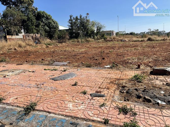 💥Đất TC 100%,5*24m,có Lô mặt Tiền,Đường Thủ Khoa Huân,gần BigC,gần Mai Xuân Thưởng,nhiều - 5