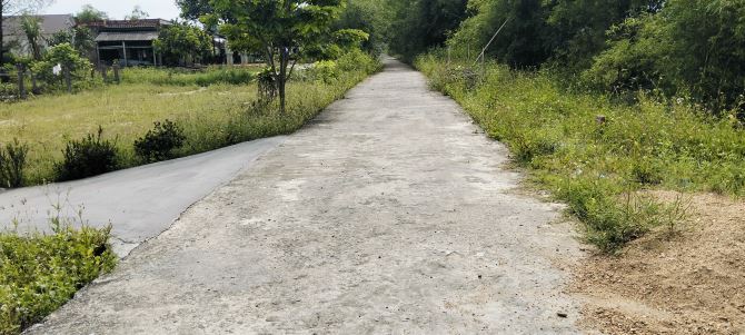 🌴 ĐẤT BIỂN TRUNG TÂM DU LỊCH – GIÁ HẤP DẪN - 6