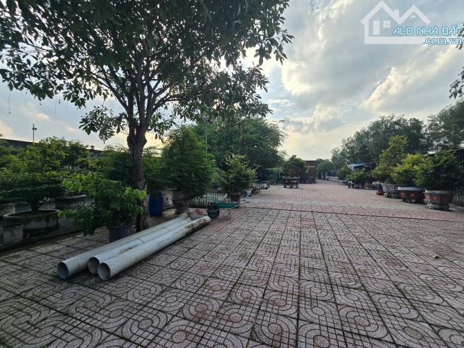 .chủ ngộp hạ 22ty. Thương lượng  nhà vườn kiên cố mặt tiền đường nhựa Cây Dầu, xã Phú Hội - 6