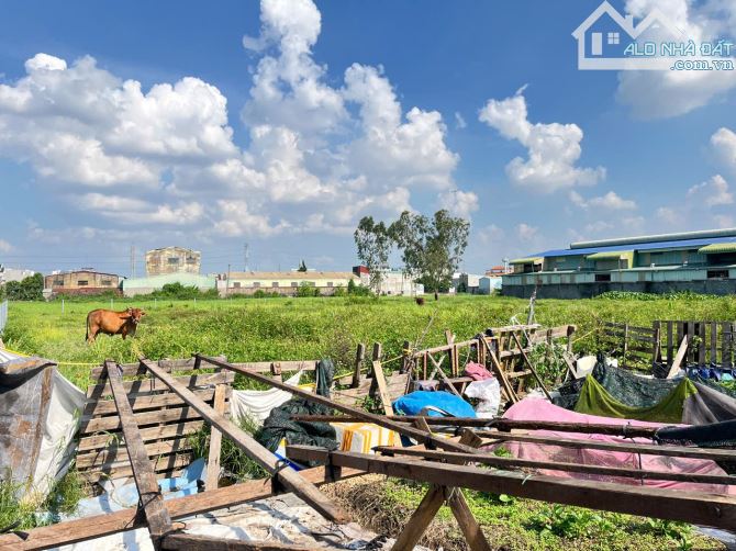 🚀 SIÊU PHẨM 5.524M² ĐẤT VÀNG TIỀN LÂN 13 – CƠ HỘI VÀNG CHO NHÀ ĐẦU TƯ! - 6