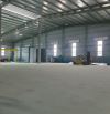 Cho thuê kho xưởng, nhà máy tại Chỉ Đạo, Huyện Văn Lâm, Hưng Yên.