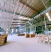 ⭐️ Bán nhà xưởng 9700m2 SKC. gần KCN Sông Mây, Trảng Bom - ĐN ----------------------------