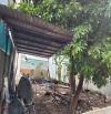 Đất Full Thổ 10x25m Đường Dương Thị Mười, P.Tân Chánh Hiệp Quận 12 Giá 13 Tỷ TL