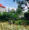 HẠ 5 TỶ❤️ Bán đất Mặt tiền đường Nam Hồ, Phường 11, Đà Lạt