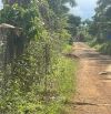 Bán 7 sào vườn sầu riêng hoà thuận