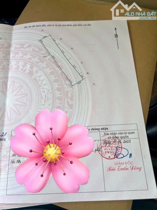 965m Có 100m Đất Ở, Bám Đường Bê Tông, Bám Suối, Cạnh Khu SInh Thái An Lạc Ecofarm, VeNus