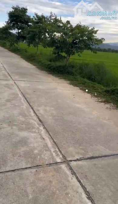 CHÍNH CHỦ GỬI BÁN LÔ ĐẤT ĐẸP GIÁ RẺ TẠI THẠCH BỒ – HÒA PHONG – HÒA VANG - ĐÀ NẴNG