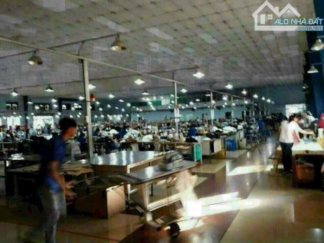 Cần Bán Nhà Xưởng 16.390m2 _P Tân Thới Nhất , Quận 12