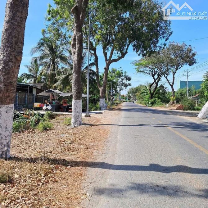 💎 Bán đất (6.5 x 43m) MT Phùng Thanh Vân (TL873B) gần UBND Phường Long Chánh
