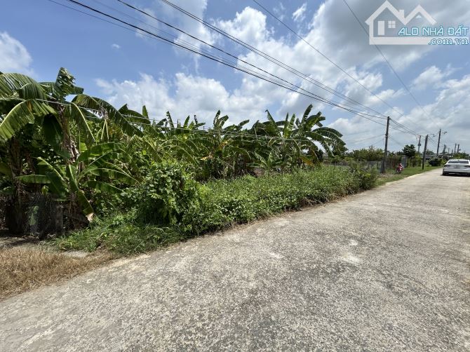 ✅ Bán 1016m2 đất lúa đường Trạm Bơm thuộc Ấp 5 , Hoà Phú , Châu Thành _ DT: 13.4 x 79.8m2