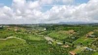 CHỦ KẸT TIỀN BÁN LỖ LÔ ĐẤT VIEW HỒ LỘC TÂN, TP BẢO LỘC - 1