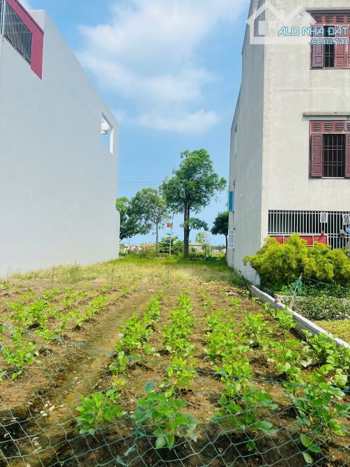 Mảnh đất biển Quất Lâm quá đẹp, 100m2 MT5m đường trục chính 10m kinh doanh sát mặt biển - 1