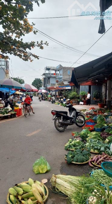 Ms Linh-Bán lô đất ngay cạnh chợ Lương Quán, Nam Sơn, An Dương giá chỉ 1,x tỷ - 1