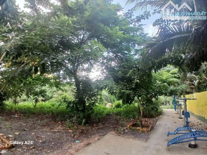 BÁN ĐẤT BIỆT THỰ VƯỜN 904M² – HIM LAM KÊNH TẺ, Q.7 – NGANG KHỦNG 22.5M- 34 TỶ  còn TL - 1