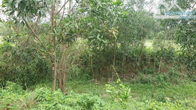 Bán 9h đất Trung tâm Nhơn Trach, kế Saigon, làm dự án, giá rẻ - 1