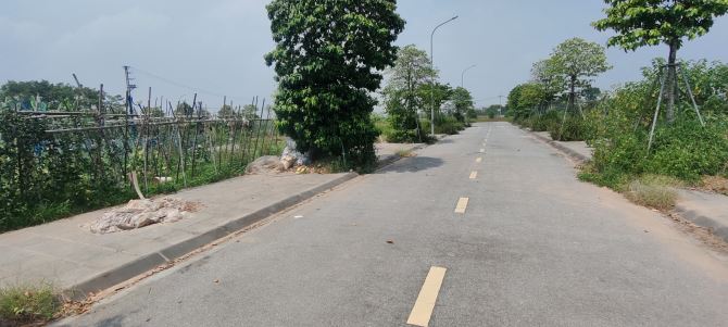 ĐẤT ĐẤU GIÁ MAI LÂMĐÔNG ANH-PHÂN LÔ-Ô TÔ TRÁNH-VỈA HÈ RỘNG-DT80M2-MT5M-12.81TỶ CÓ T.L - 1