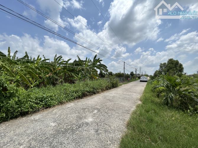 ✅ Bán 1016m2 đất lúa đường Trạm Bơm thuộc Ấp 5 , Hoà Phú , Châu Thành _ DT: 13.4 x 79.8m2 - 1