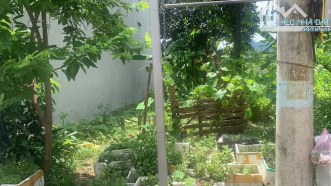 Chỉ 1,25 tỷ có 95m2 đất Dược Thượng(Sóc Sơn)-ô tô đỗ cửa. - 1