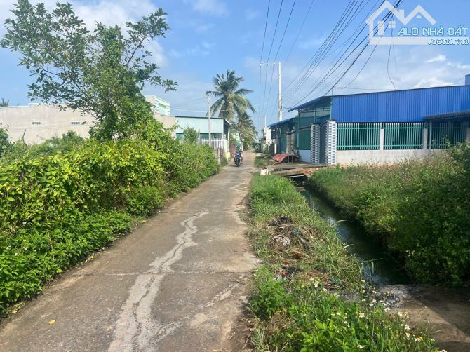 💥BÁN ĐẤT THỔ CƯ MẶT TIỀN ĐƯỜNG BÊ TÔNG XÃ HÀM THẮNG - TỈNH BÌNH THUẬN - 2