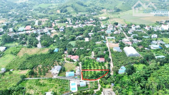 739m Có 100m Đất Ở - Lô Góc 2 Mặt Tiền - Trên Đất Trồng Sẵn Bưởi - 2