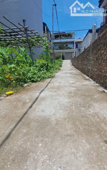 Bán 31m2 đất Đông Dư giá cực hiếm - 2