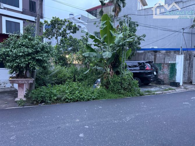 Bán đất lô góc mặt đường Lãm Khê - 2