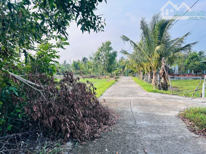 Bán 28m x 34m đất ODT Tân Phước - LaGi giá rẻ 178tr/m ngang kế bên 577 - 2