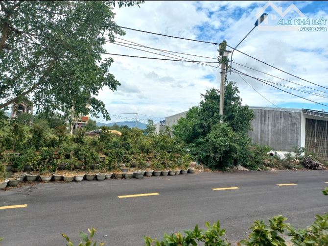 🏠Bán Đất 125m2 khu QHDC hòa cư,Phường nhơn hưng,tx An Nhơn,Bình Định - 2