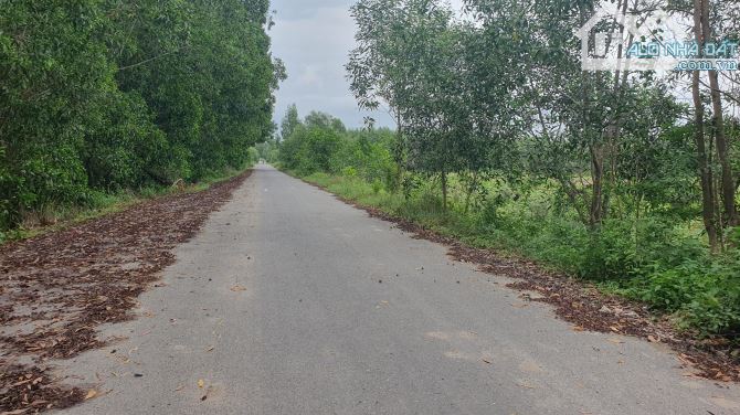 Bán 9h đất Trung tâm Nhơn Trach, kế Saigon, làm dự án, giá rẻ - 2
