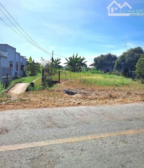 💎 Bán đất (6.5 x 43m) MT Phùng Thanh Vân (TL873B) gần UBND Phường Long Chánh - 2