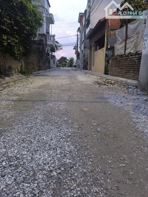 🌟ĐẤT MAI LÂM ĐÔNG ANH chính là viên ngọc sáng đang được giới đầu tư BĐS săn đón. - 2