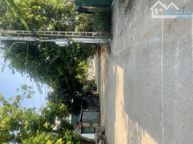BÁN LÔ ĐẤT GÓC 2 MẶT THOÁNG – Ô TÔ TRÁNH – VỊ TRÍ ĐẸP TẠI THÔN TẰNG MY, NAM HỒNG, ĐÔNG ANH - 2