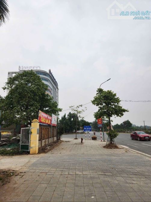 Cần Bán lô đất thị trấn Đông Anh, 6000m, MT 100m, full thổ cư, giá đầu tư - 2