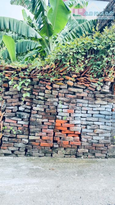 CHÍNH CHỦ BÁN ĐẤT 50m² xã MAI LÂM – ĐÔNG ANH cách cầu Đông Trù chỉ 3 phút - 2