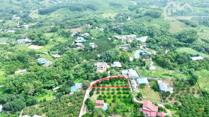 739m Có 100m Đất Ở - Lô Góc 2 Mặt Tiền - Trên Đất Trồng Sẵn Bưởi - 3