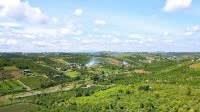 CHỦ KẸT TIỀN BÁN LỖ LÔ ĐẤT VIEW HỒ LỘC TÂN, TP BẢO LỘC - 3