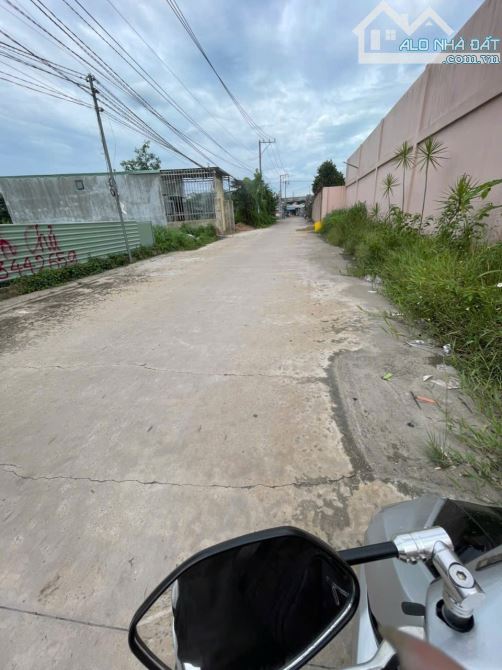 XT436 🆘Cho thuê xưởng 800m2 Thuộc Phước Tân_ Gần KCN Giang Điền _Võ Nguyên Giáp. - 3