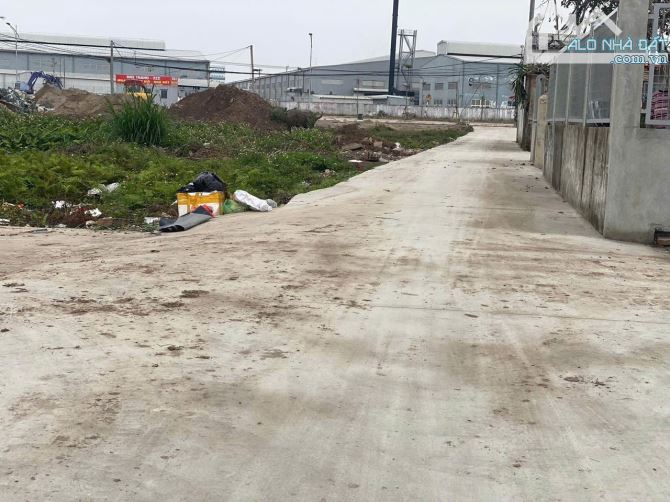 Bán lô Đất 85m Tdp đông phong  ,Minh Đức ,ĐỒ Sơn.HP. - 3
