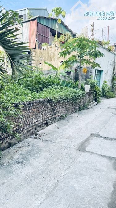 BÁN ĐẤT DU NỘI MAI LÂM ĐÔNG ANH NHỈNH 5TỶ - 3