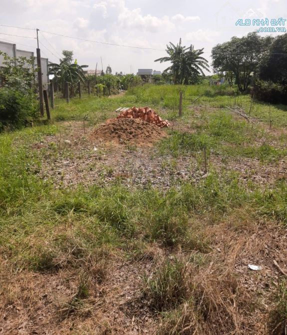 💎 Bán đất (6.5 x 43m) MT Phùng Thanh Vân (TL873B) gần UBND Phường Long Chánh - 3