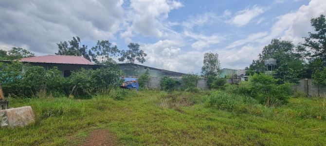 Đất 1Ha QH SKC Hố Nai3 Trảng Bom Đồng Nai KCN Sông Mây 800m Giá Tốt Siêu Rê - 3