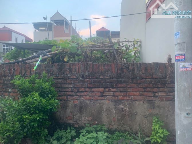 🔥 BÁN ĐẤT SIÊU PHẨM KHU VỰC ĐƯỜNG BÀN CỜ THÔN ĐÔNG - XÃ VĨNH THANH ( TÀM XÁ CŨ ) - TP. HN - 5